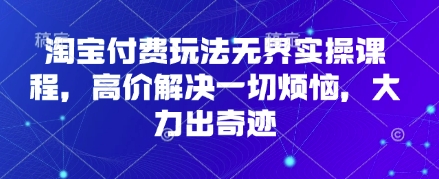淘宝付费玩法无界实操课程,高价解决一切烦恼,大力出奇迹-龙腾终点站